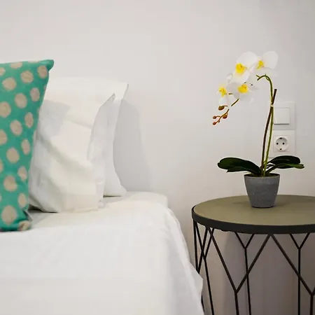 Summer Dream Luxury *