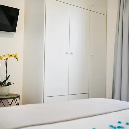 Summer Dream Luxury * Δρυός